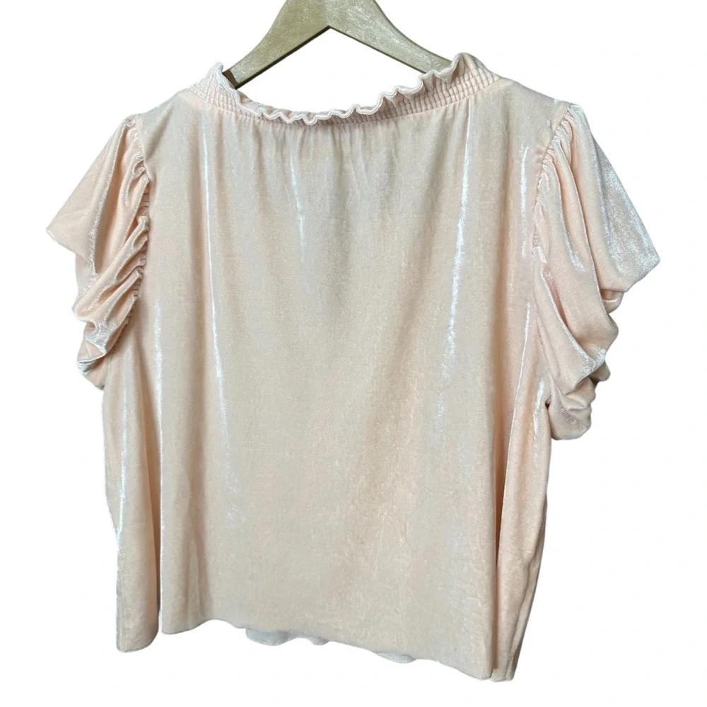 Free People | Terese Velvet Top | Blush Pink | Peasant Boho Blouse | Size M